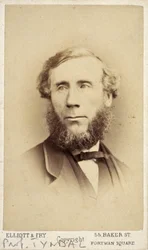 John Tyndall, irischer Physiker, um 1875
