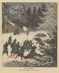 Eine Bäreninvasion in Russland