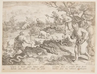 Schlangen jagen