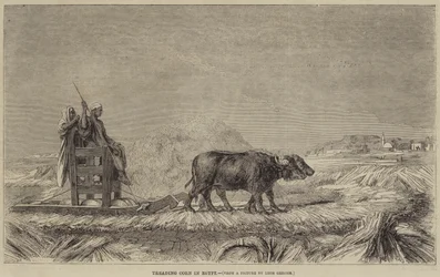 Kornstampfen in Ägypten