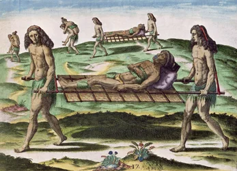Hermaphroditen transportieren die Verletzten, aus 