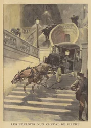 Ein Pferd zieht eine Kutsche eine Treppe hinunter in Paris