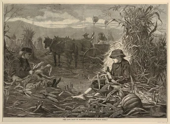 Die letzten Tage der Ernte, aus Harper