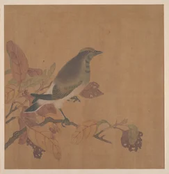 Vogel auf Zweig