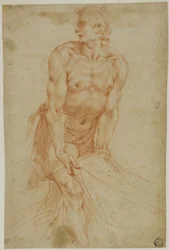 Mann, der an einem Laken zieht: Studie für die Grablegung (Sakristei der Certosa di San Martino, Neapel, 1596)