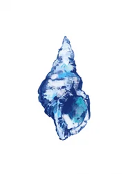 Abstrakte blaue Muschel