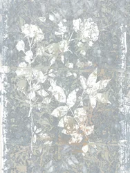 Abstrakte graue Botanicals