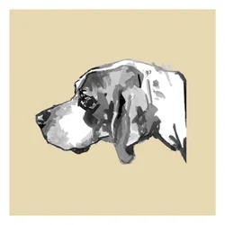 Elegantes Hundeprofil