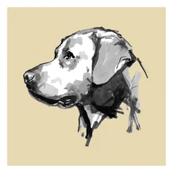 Ausdrucksvolles Hundeprofil