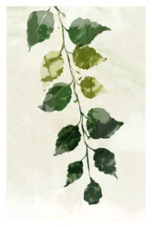 Grün Gold 3