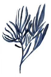 Indigo Botanische Zweige
