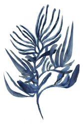 Indigo Botanische Studie