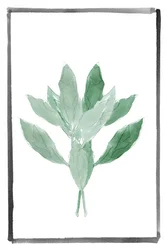 Weiche grüne Botanik