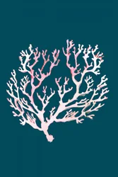 Weiche Rosa Koralle