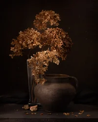 Rustikales Trockenblumen-Stillleben