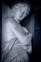 Biblioteca Marciana, Venedig, Italien (Foto)